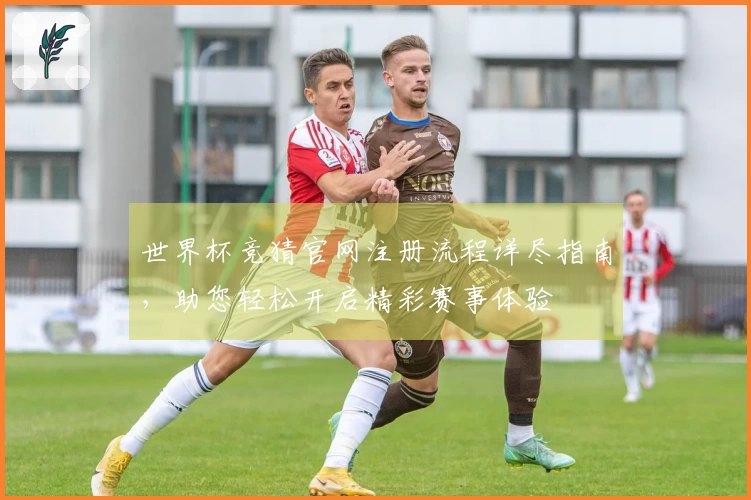 世界杯竞猜官网注册流程详尽指南，助您轻松开启精彩赛事体验