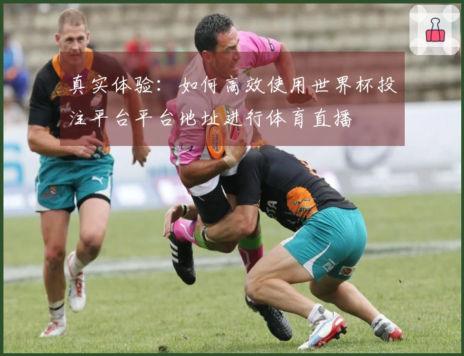 真实体验：如何高效使用世界杯投注平台平台地址进行体育直播