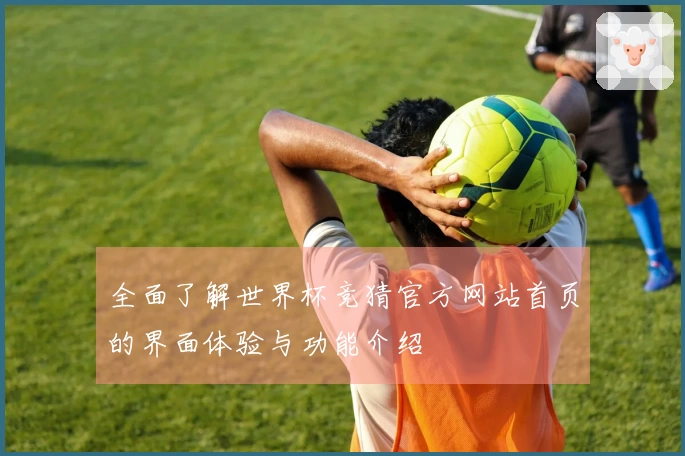 全面了解世界杯竞猜官方网站首页的界面体验与功能介绍