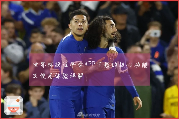 世界杯投注平台APP下载的核心功能及使用体验详解