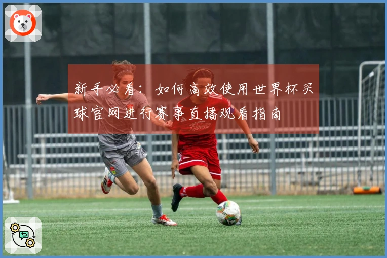 新手必看：如何高效使用世界杯买球官网进行赛事直播观看指南
