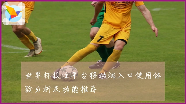 世界杯投注平台移动端入口使用体验分析及功能推荐