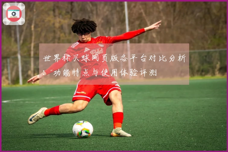 世界杯买球网页版各平台对比分析：功能特点与使用体验评测