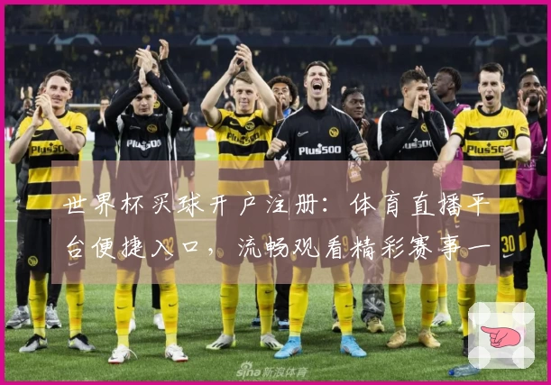 世界杯买球开户注册：体育直播平台便捷入口，流畅观看精彩赛事一站式搞定