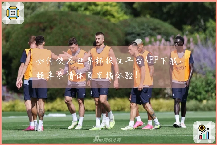 如何使用世界杯投注平台APP下载，畅享尽情体育直播体验！