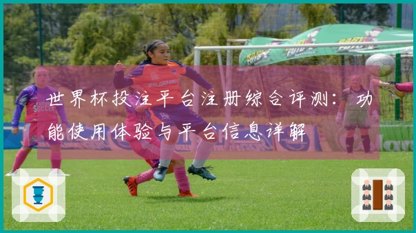 世界杯投注平台注册综合评测：功能使用体验与平台信息详解