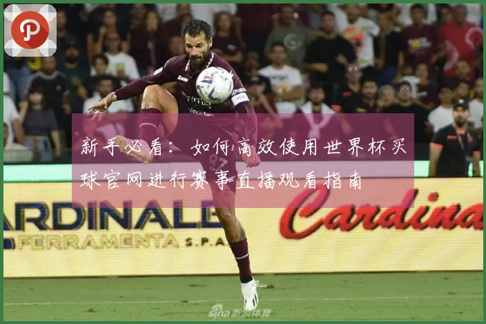 新手必看：如何高效使用世界杯买球官网进行赛事直播观看指南