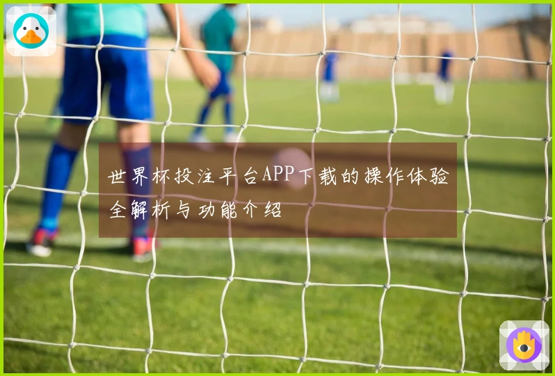 世界杯投注平台APP下载的操作体验全解析与功能介绍