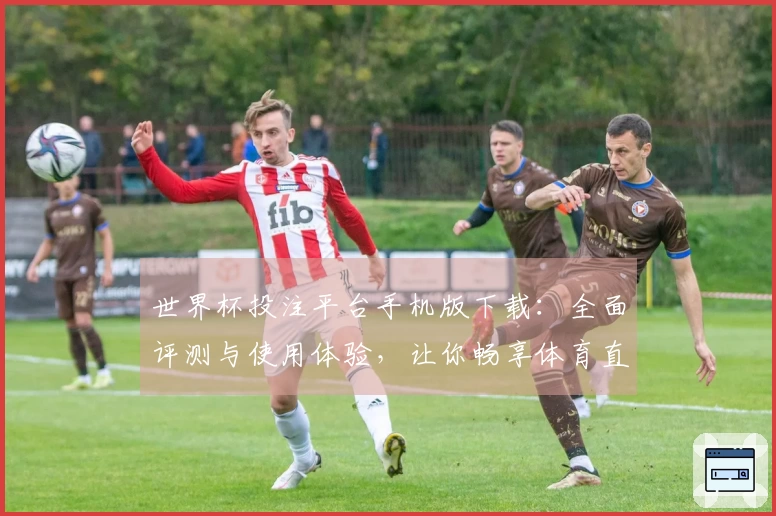 世界杯投注平台手机版下载：全面评测与使用体验，让你畅享体育直播乐趣